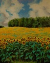 Sunflower Heaven