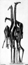 Giraffe Landscape