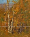 Aspen Splendor