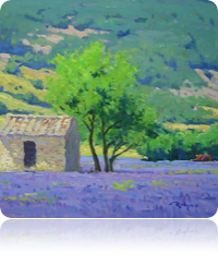 collage_image