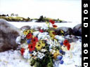 Smith's Point Bouquet