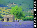 Lavender Shed