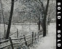 Willistown Snowstorm