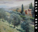 Olive Grove