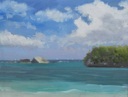 Nonsuch Island, East End