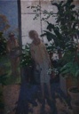 Greenhouse Shadows